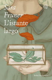 copertina L'istante largo