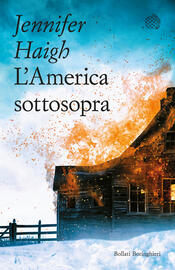 copertina L'America sottosopra