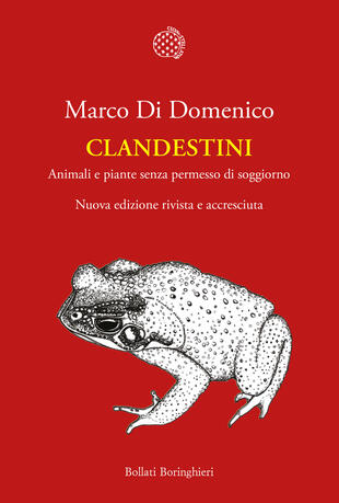 copertina Clandestini