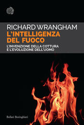 copertina L'intelligenza del fuoco
