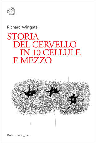 copertina Storia del cervello in 10 cellule e mezzo