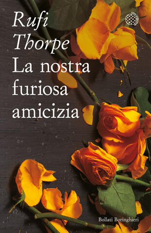 copertina La nostra furiosa amicizia