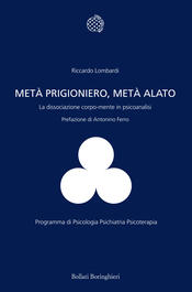 copertina Met&agrave; prigioniero, met&agrave; alato