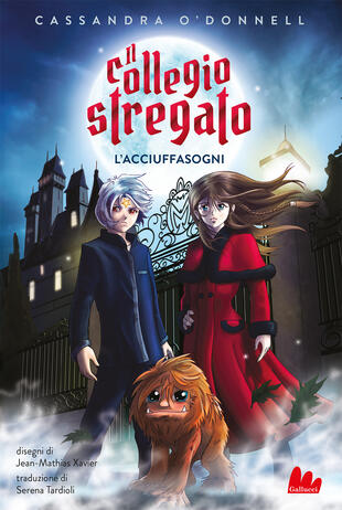 copertina Il collegio stregato. L'acciuffasogni
