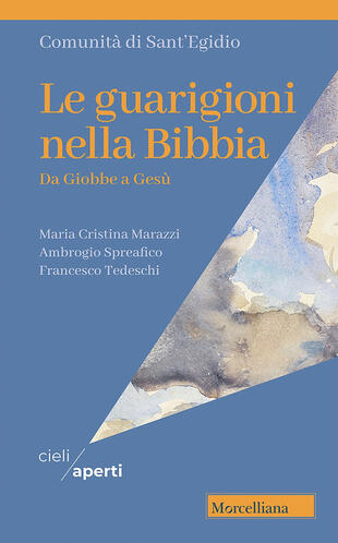 copertina Le guarigioni nella Bibbia. Da Giobbe a Ges&ugrave;