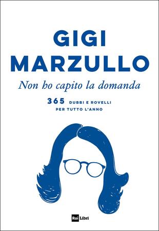 copertina Non ho capito la domanda. 365 dubbi e rovelli per tutto l'anno
