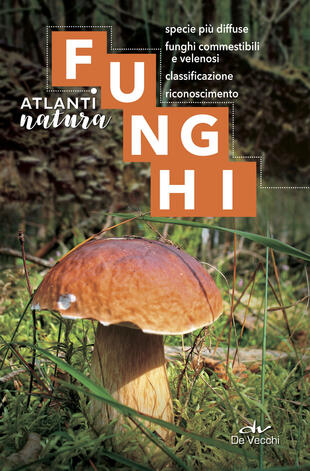 copertina Funghi. Specie pi&ugrave; diffuse, funghi commestibili e velenosi, classificazione, riconoscimento