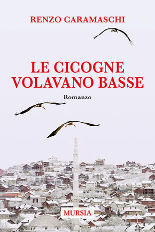 copertina Le cicogne volavano basse