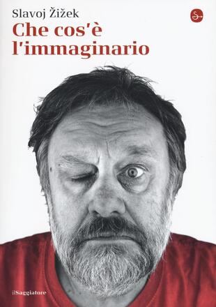 copertina Che cos'è l'immaginario