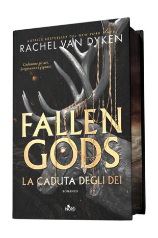 copertina Fallen Gods