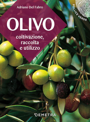 copertina L' olivo. Coltivazione, raccolta e utilizzo