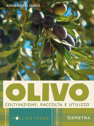copertina L'olivo. Coltivazione, raccolta e utilizzo