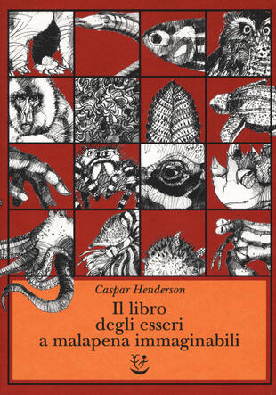 copertina Il libro degli esseri a malapena immaginabili