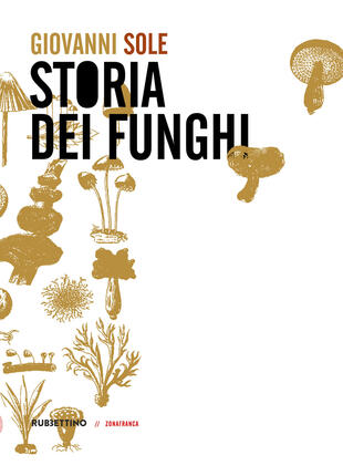 copertina Storia dei funghi