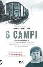 copertina 6 campi