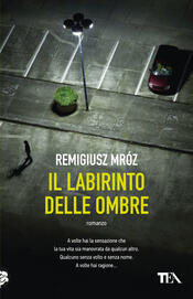 copertina Il labirinto delle ombre