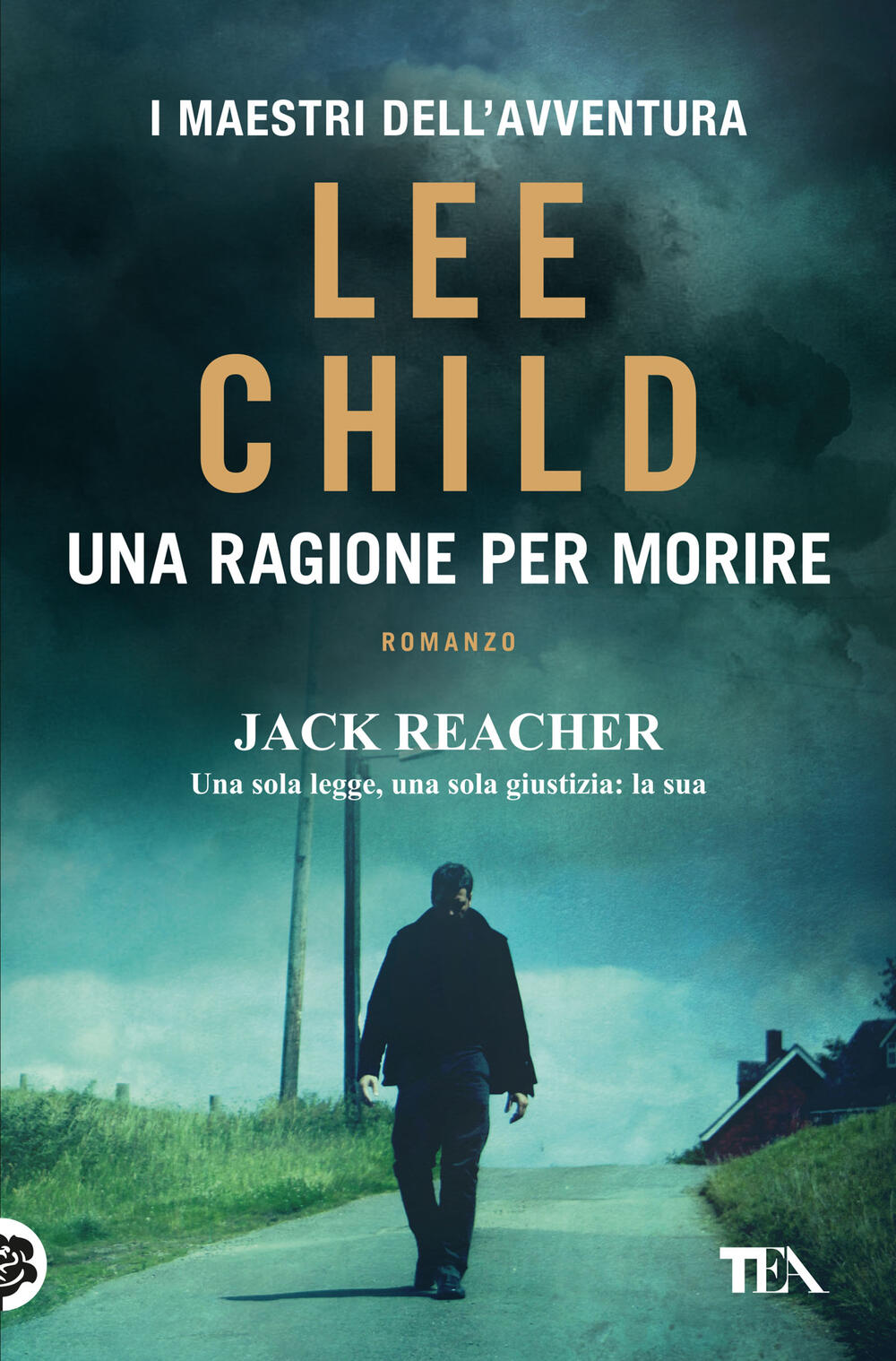 23 libri di Lee Child. Jack Reacher - Libri e Riviste In vendita a Matera