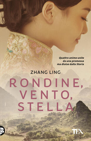 copertina Rondine, vento, stella