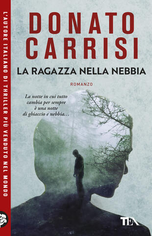 copertina La ragazza nella nebbia