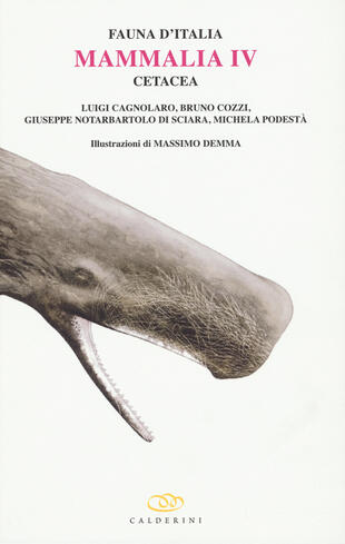 copertina Mammalia IV cetacea