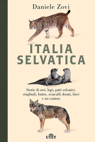 copertina Italia selvatica. Storie di orsi, lupi, gatti selvatici, cinghiali, lontre, sciacalli dorati, linci e un castoro
