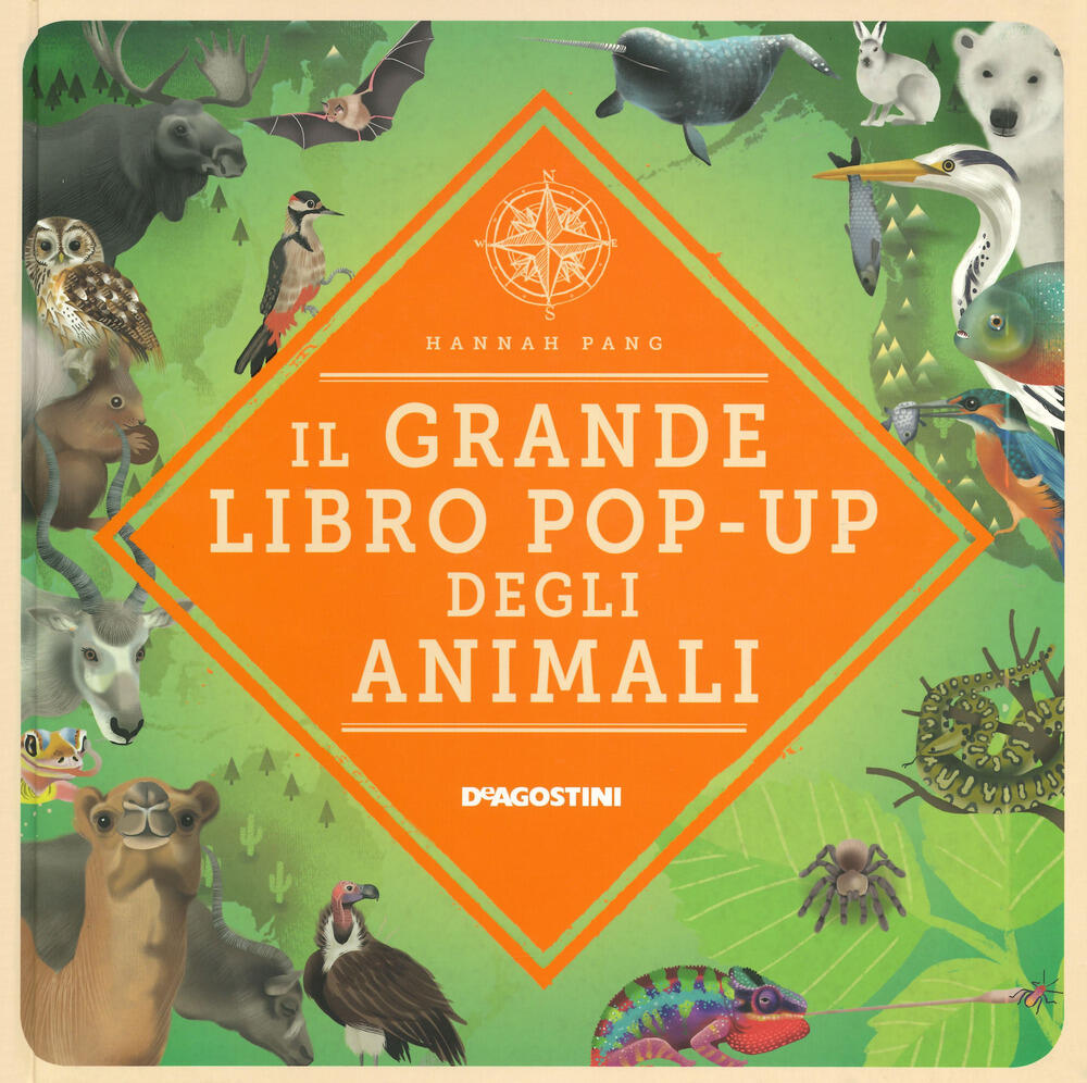 Il grande libro pop-up degli animali di Pang Hannah - Il Libraio