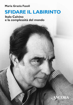copertina Sfidare il labirinto. Italo Calvino e la complessità del mondo