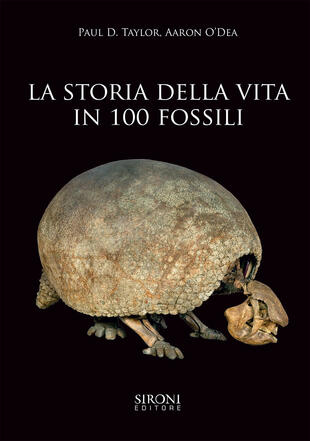 copertina La storia della vita in 100 fossili. Ediz. illustrata