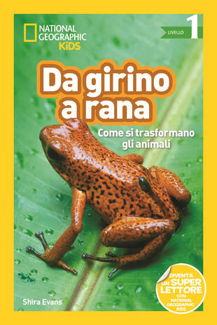 copertina Da girino a rana. Come si trasformano gli animali. Livello 1. Diventa un super lettore. Ediz. illustrata