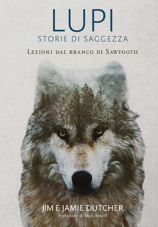 copertina Lupi. Storie di saggezza. Ediz. illustrata