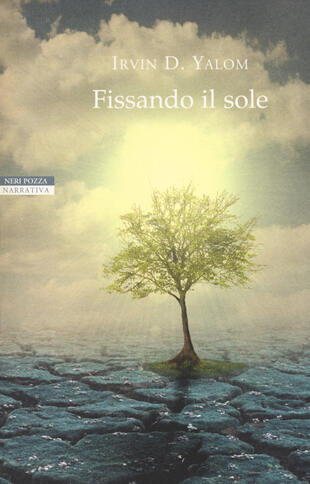 copertina Fissando il sole