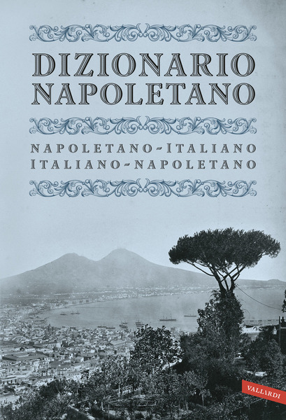 Dizionario Napoletano