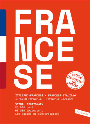 copertina Dizionario francese TOP