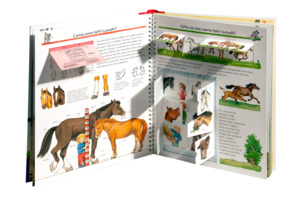 Scopri tutto su cavalli e pony!
