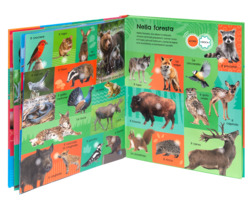 175 animali. Suoni e quiz!