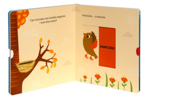 sposto e scopro. I colori