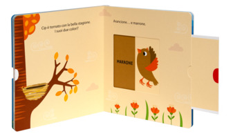 sposto e scopro. I colori