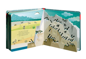 Buongiorno, volpina!