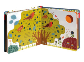 Buongiorno, pettirosso!