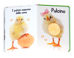 Gli animali. Un libro da toccare