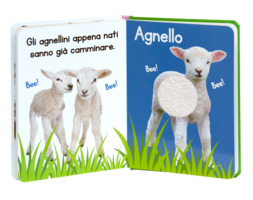 Gli animali. Un libro da toccare