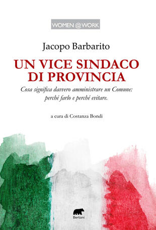copertina Un vice sindaco di provincia. Cosa significa davvero amministrare un Comune: perché farlo e perché evitare