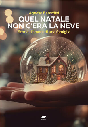copertina Quel Natale non c'era la neve. Storia d'amore di una famiglia