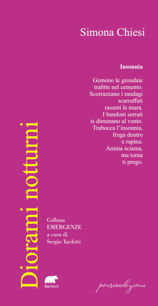copertina Diorami notturni
