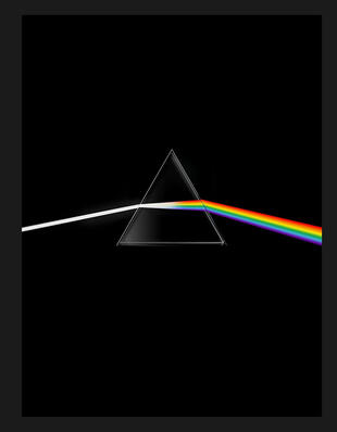 copertina Pink Floyd. Their mortal remains. Ediz. a colori