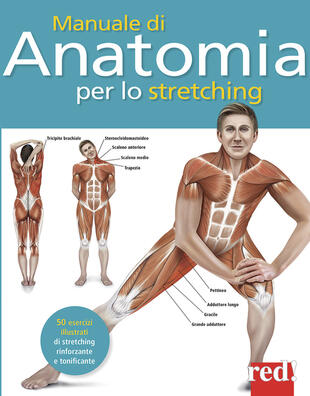 copertina Manuale di anatomia per lo stretching. 50 esercizi illustrati di stretching, rinforzante e tonificante