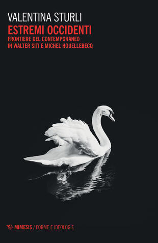 copertina Estremi occidenti. Frontiere del contemporaneo in Walter Siti e Michel Houllebecq
