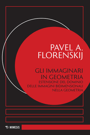 copertina Gli immaginari in geometria. Estensione del dominio delle immagini bidimensionali nella geometria