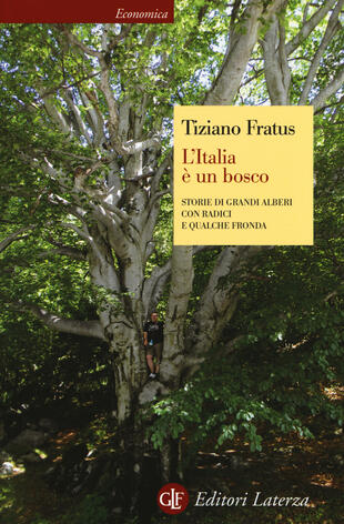 copertina L' Italia è un bosco. Storie di grandi alberi con radici e qualche fronda