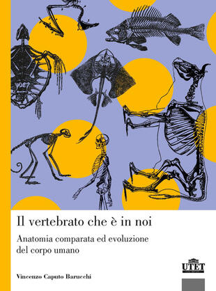 copertina Il vertebrato che è in noi. Anatomia comparata ed evoluzione del corpo umano